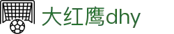大红鹰dhy(中国)有限公司官网